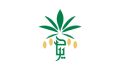 شیره خرما 